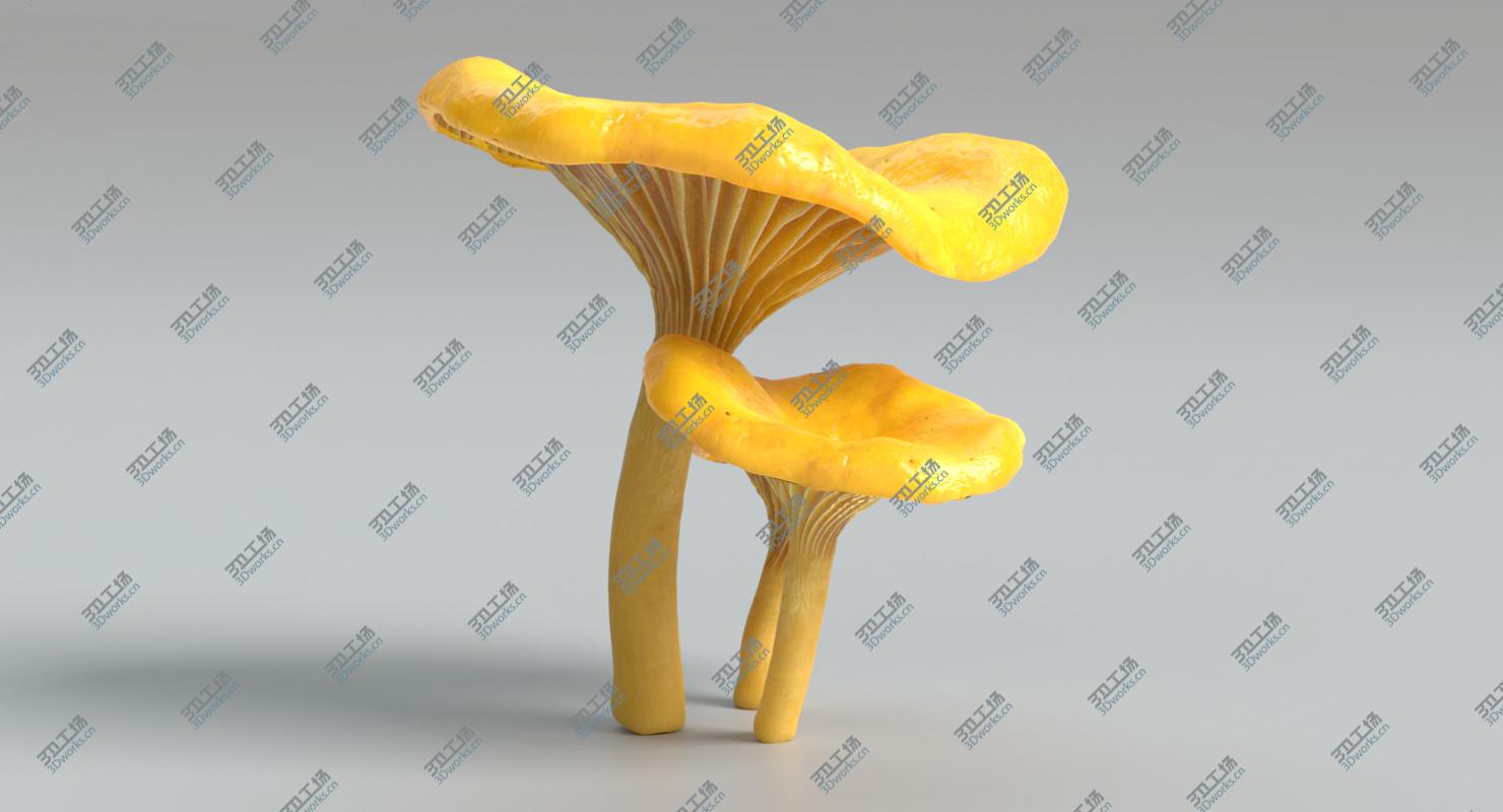 images/goods_img/202105072/Chanterelle Mushrooms/5.jpg